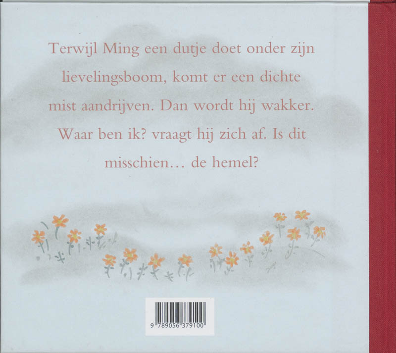 Achterkant van Hemels