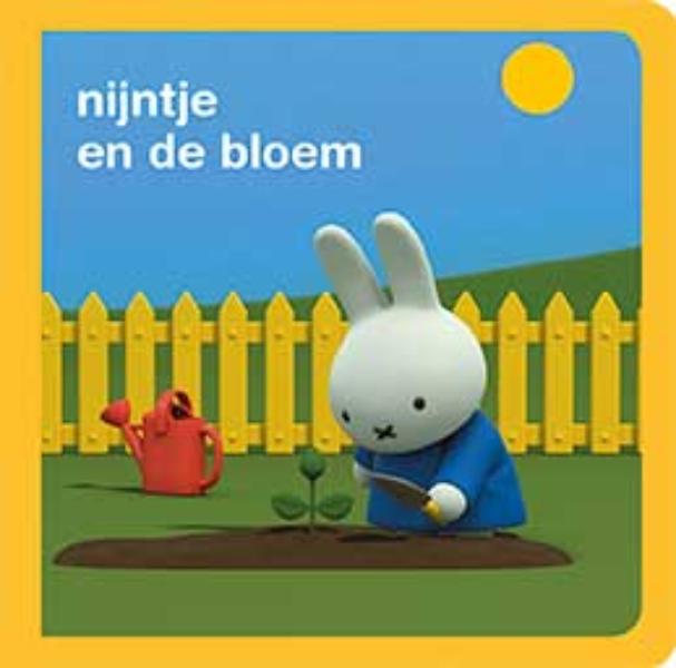 Achterkant van nijntjes avonturen