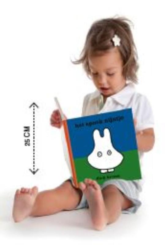 Achterkant van Het spook Nijntje