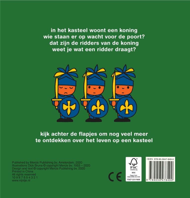 Achterkant van het kasteel van de koning