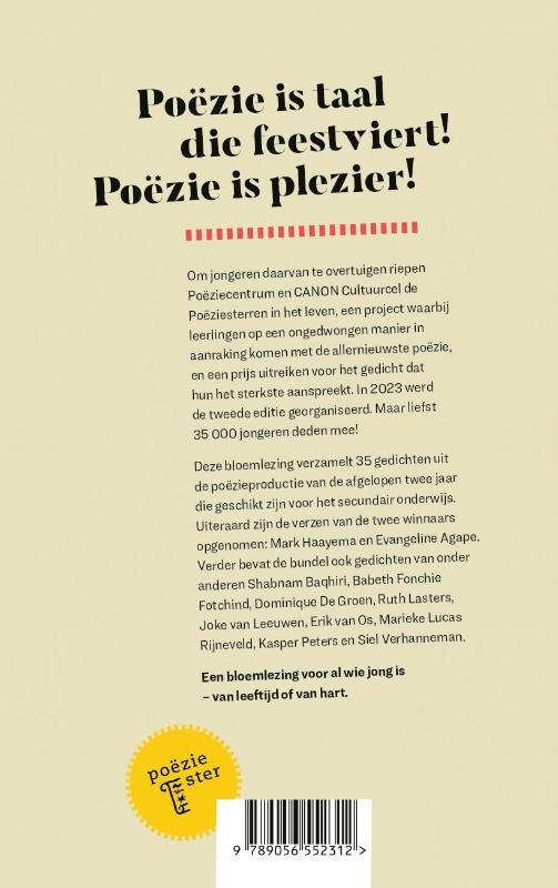 Achterkant van Dingen die licht geven