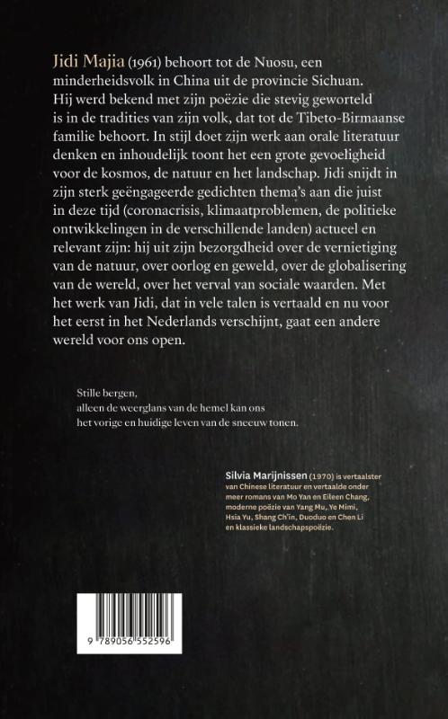 Achterkant van Ik schrijf gedichten omdat ik een toeval ben