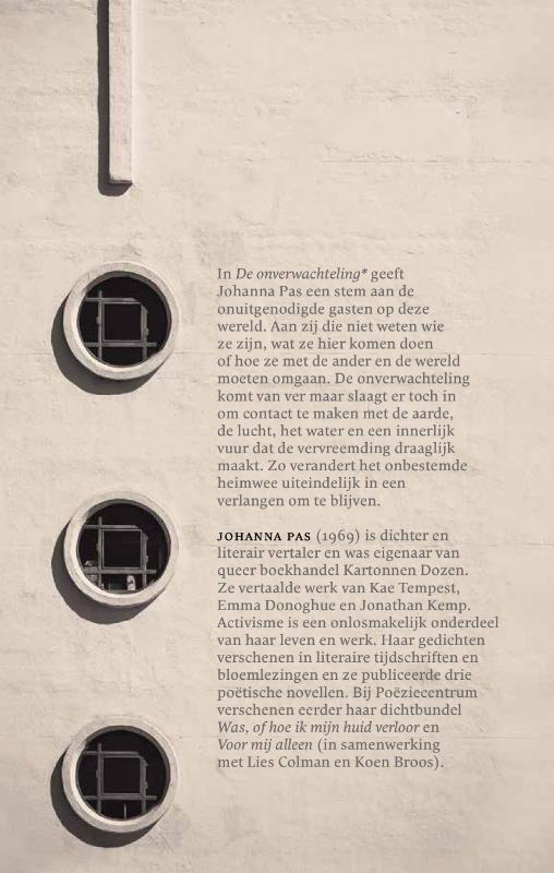 Achterkant van De onverwachteling*