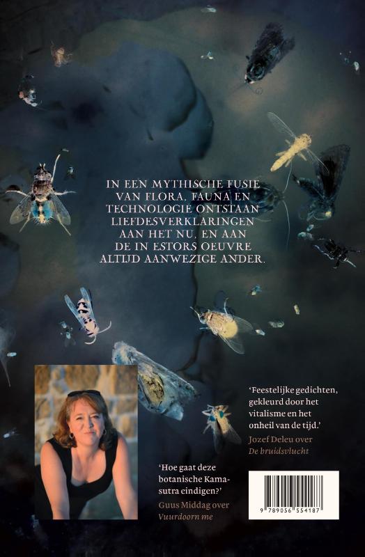Achterkant van De bruidsvlucht
