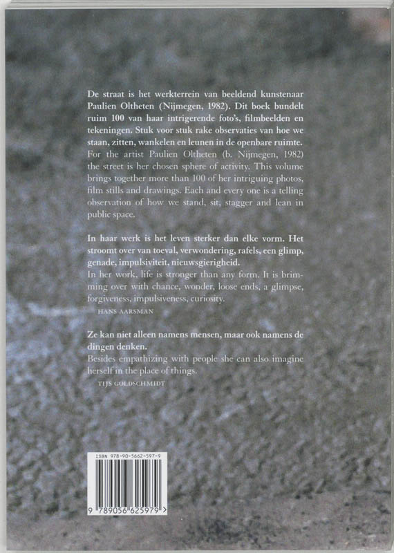 Achterkant van Theorie van de straat