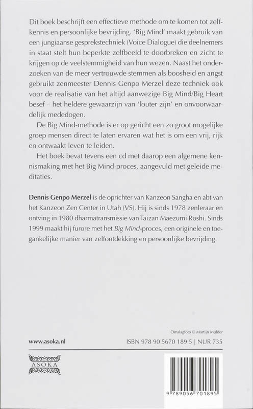 Achterkant van Big Mind