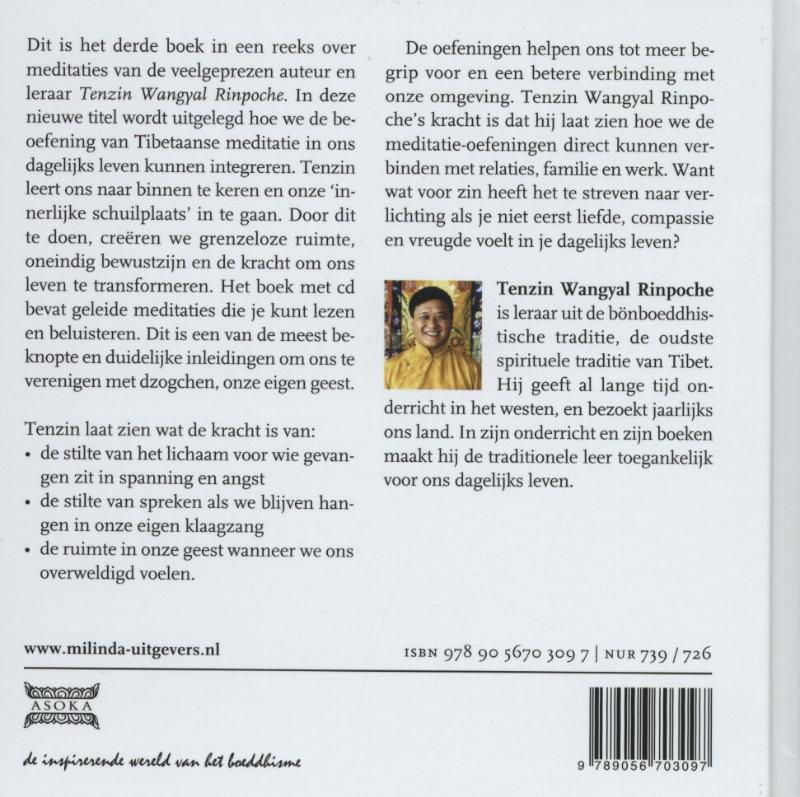 Achterkant van De stralende geest