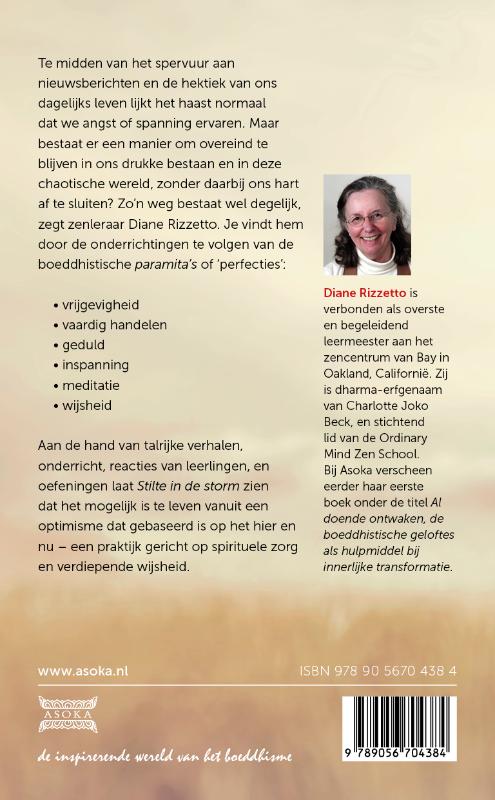 Achterkant van Stilte in de storm