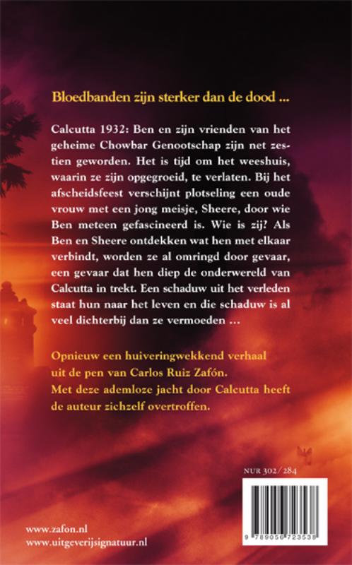 Achterkant van Het Middernachtspaleis
