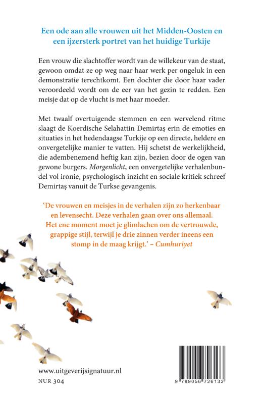 Achterkant van Morgenlicht