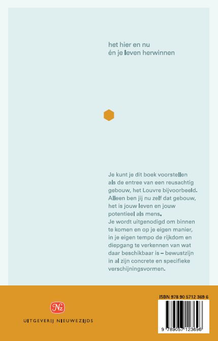 Achterkant van Mindfulness voor beginners