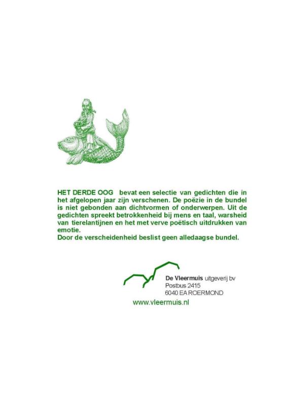 Achterkant van Het derde oog