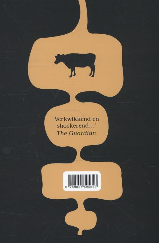 Achterkant van Idiopathie