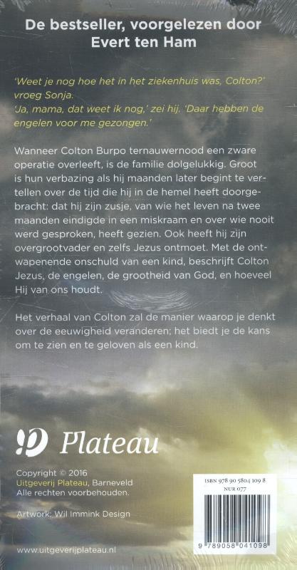 Achterkant van De jongen die in de hemel was