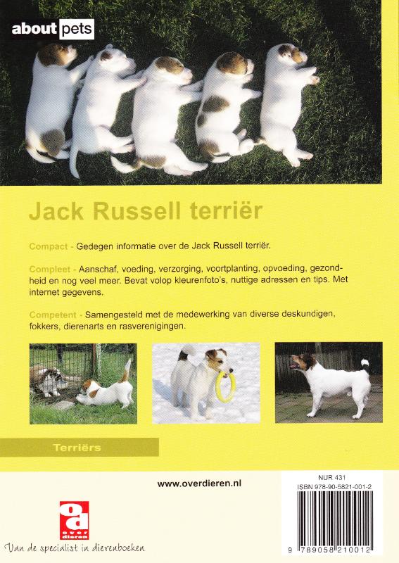 Achterkant van De Jack Russell terrier