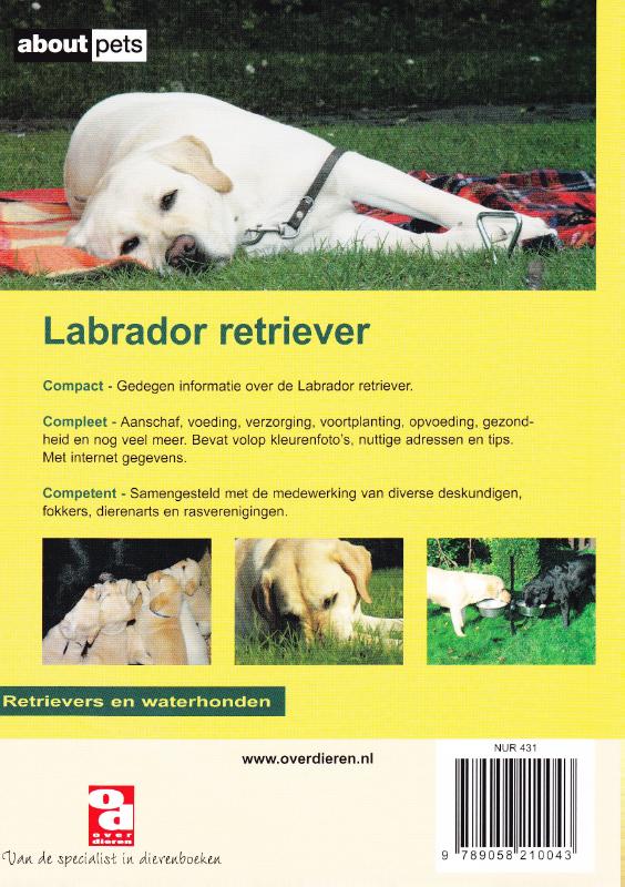 Achterkant van De Labrador retriever