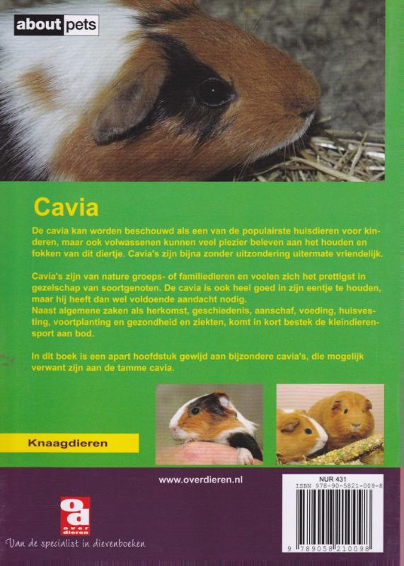 Achterkant van De cavia