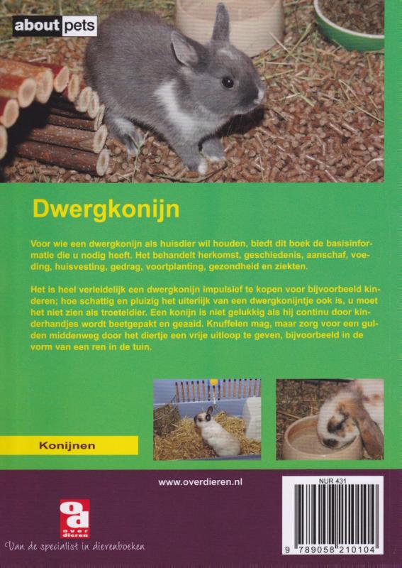 Achterkant van Het dwergkonijn