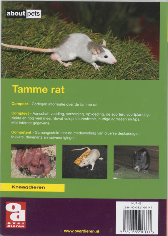 Achterkant van De tamme rat