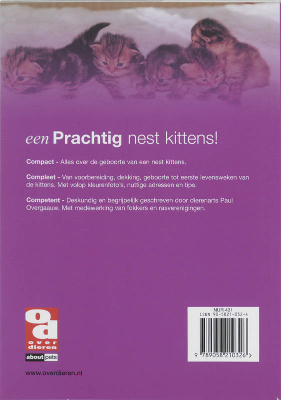 Achterkant van Een prachtig nest kittens!