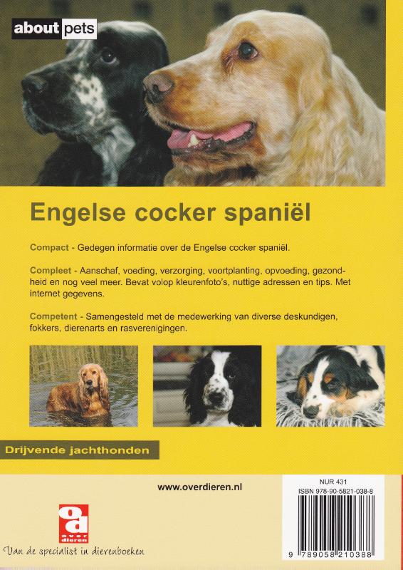 Achterkant van De engelse cocker spaniel
