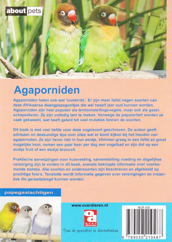 Achterkant van Agaporniden