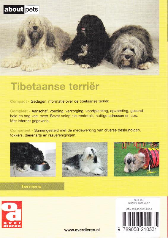 Achterkant van de Tibetaanse terrier