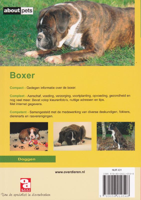 Achterkant van Boxer