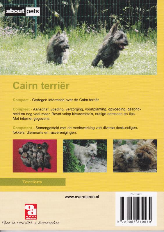 Achterkant van Cairn terrier