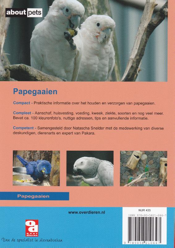 Achterkant van Papegaaien