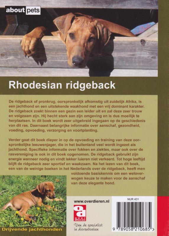 Achterkant van De Rhodesian ridgeback