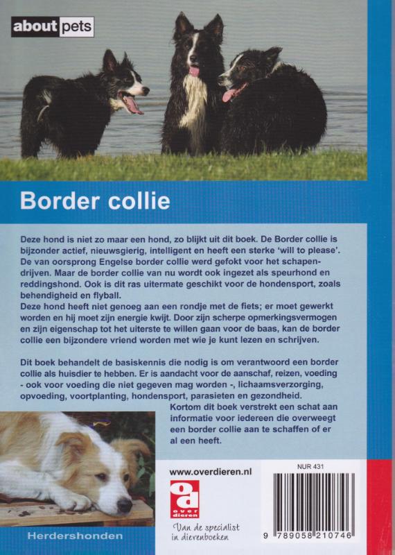Achterkant van De Border Collie