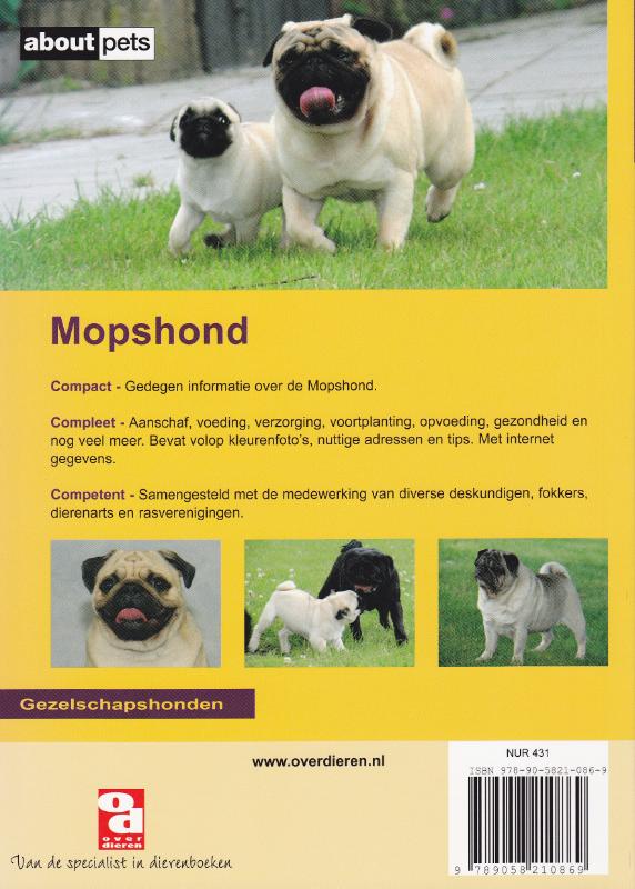 Achterkant van De mopshond