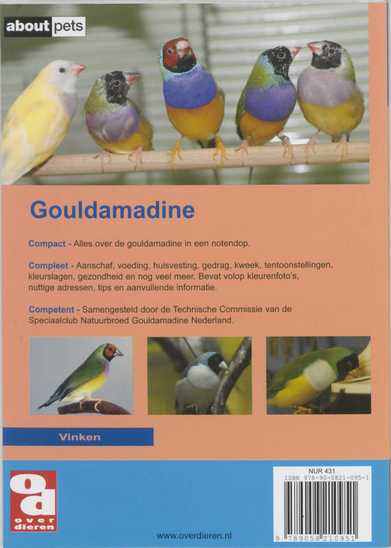 Achterkant van De Gouldamadine