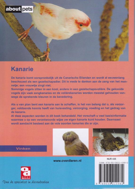 Achterkant van De Kanarie