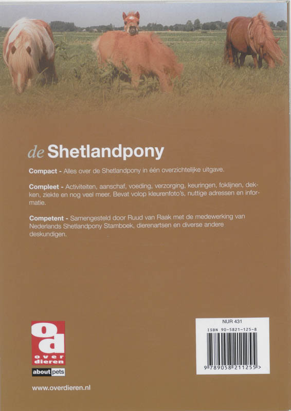 Achterkant van De Shetlandpony
