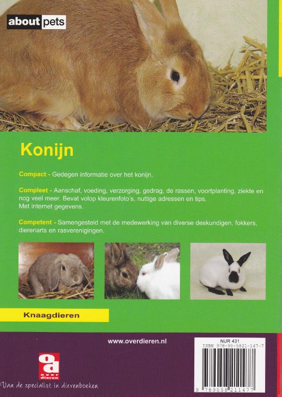 Achterkant van Het konijn