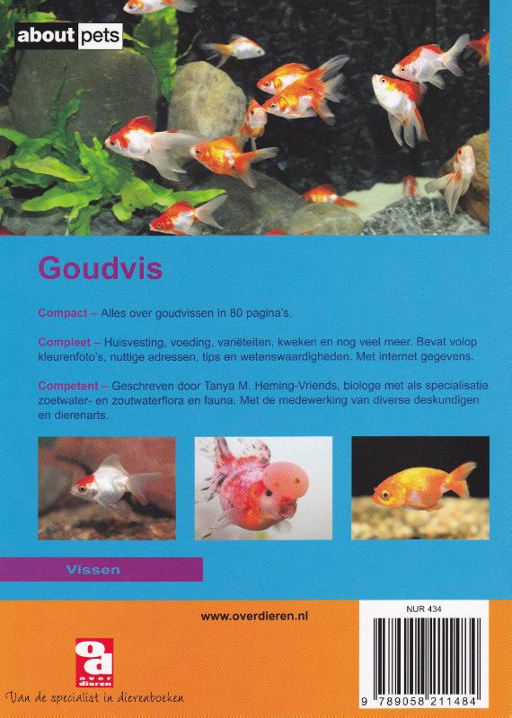 Achterkant van De goudvis