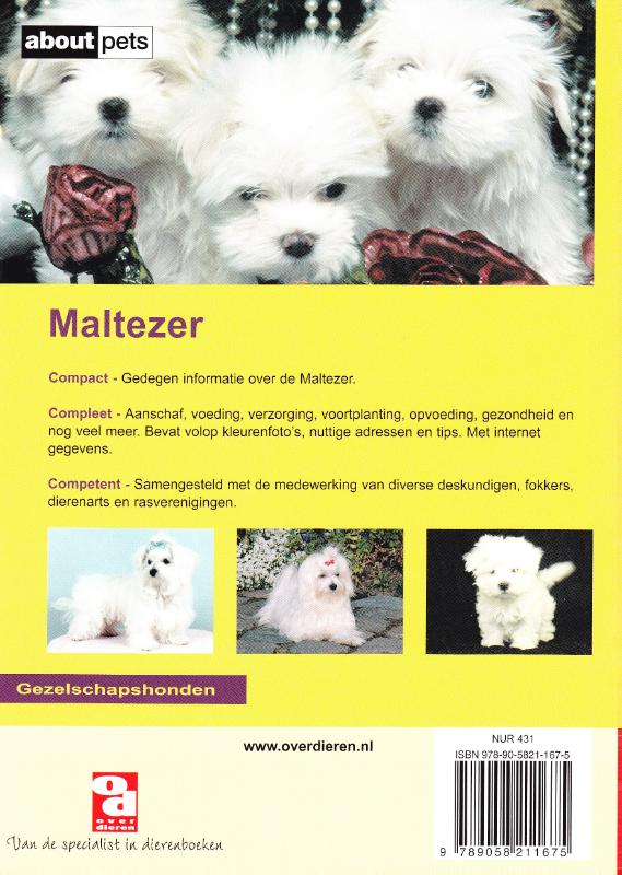Achterkant van De Maltezer
