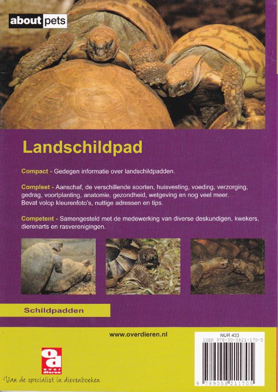 Achterkant van De landschildpad