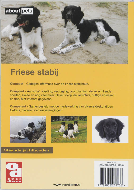 Achterkant van De Friese stabij