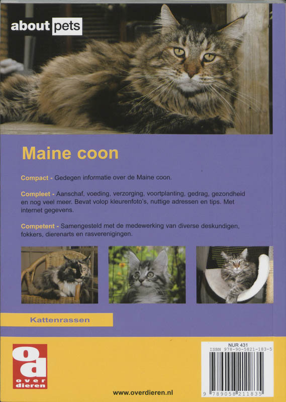 Achterkant van Maine Coon