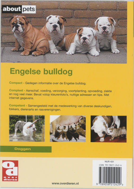 Achterkant van De Engelse bulldog