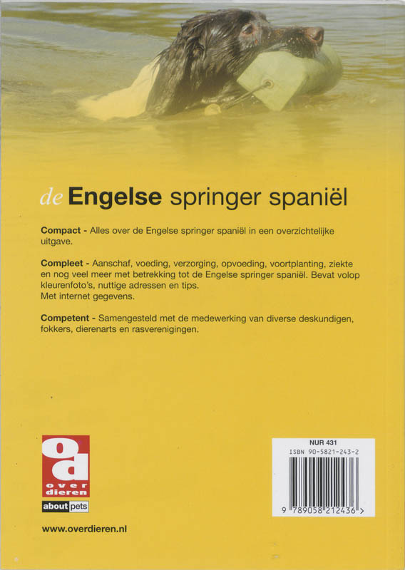 Achterkant van De Engelse springer Spaniel