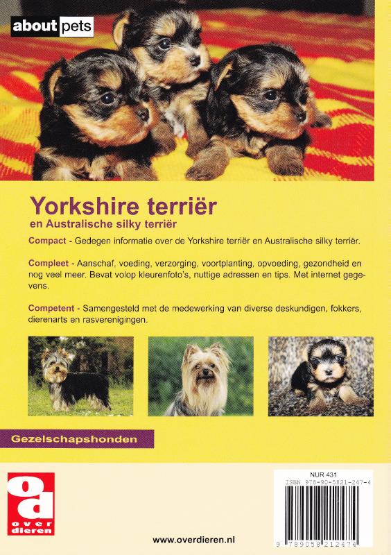 Achterkant van De Yorkshire terrier