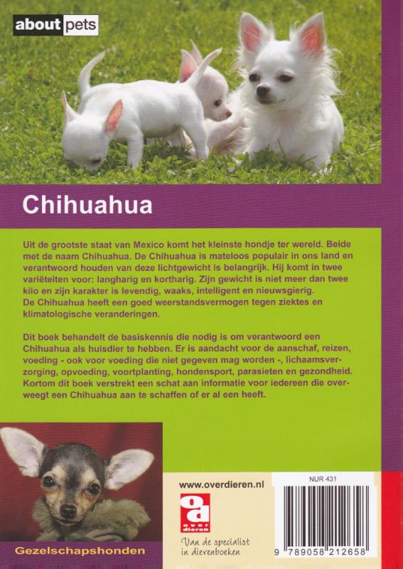Achterkant van Chihuahua