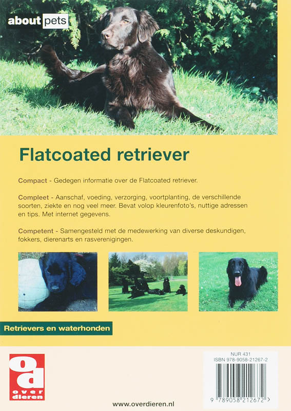 Achterkant van Flatcoated retriever