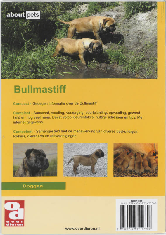Achterkant van Bullmastiff