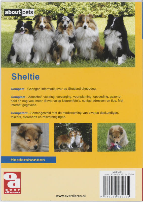 Achterkant van Sheltie