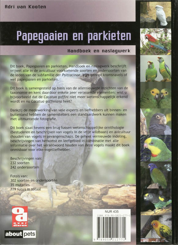 Achterkant van Papegaaien en parkieten